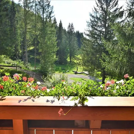 בית הארחה Dirnbacher Huette