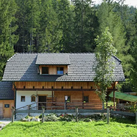 Dirnbacher Huette בית הארחה 3*