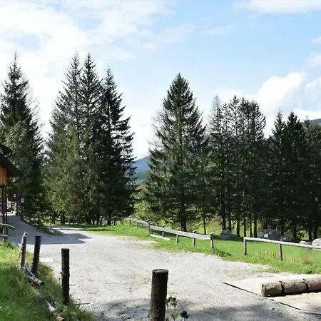 בית הארחה Dirnbacher Huette