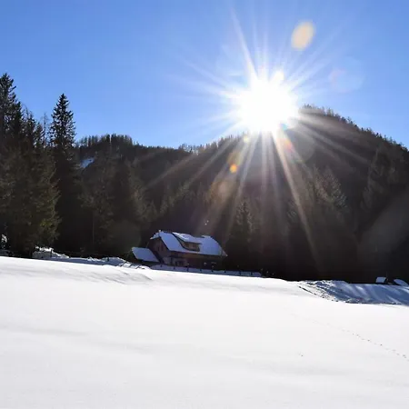 Dirnbacher Huette בית הארחה