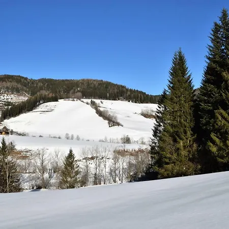 Dirnbacher Huette בית הארחה 3*