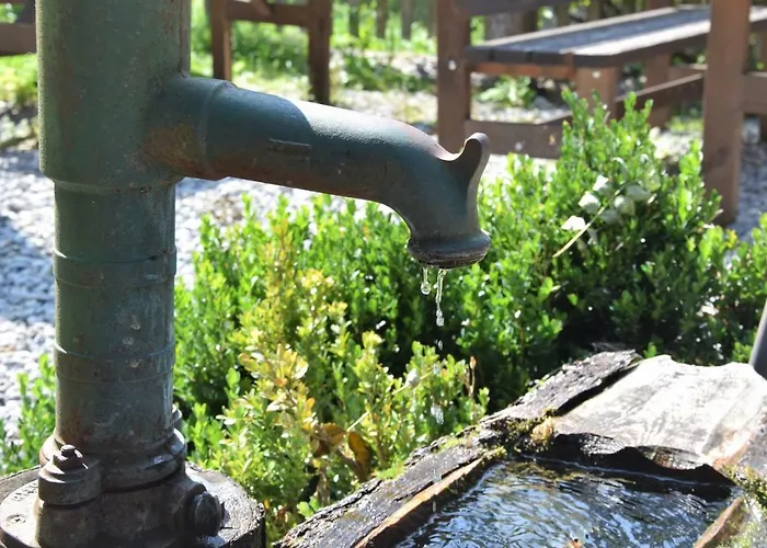 بيت ضيافة Dirnbacher Huette 3*