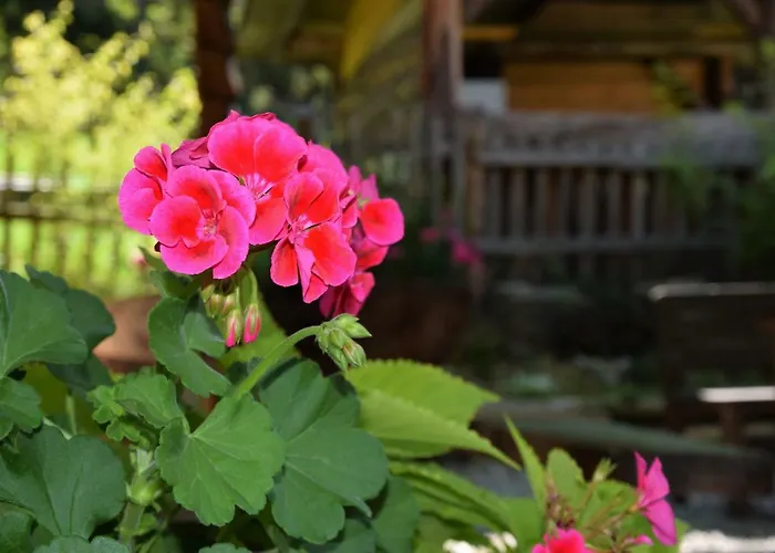 Guest house Dirnbacher Huette Turnau