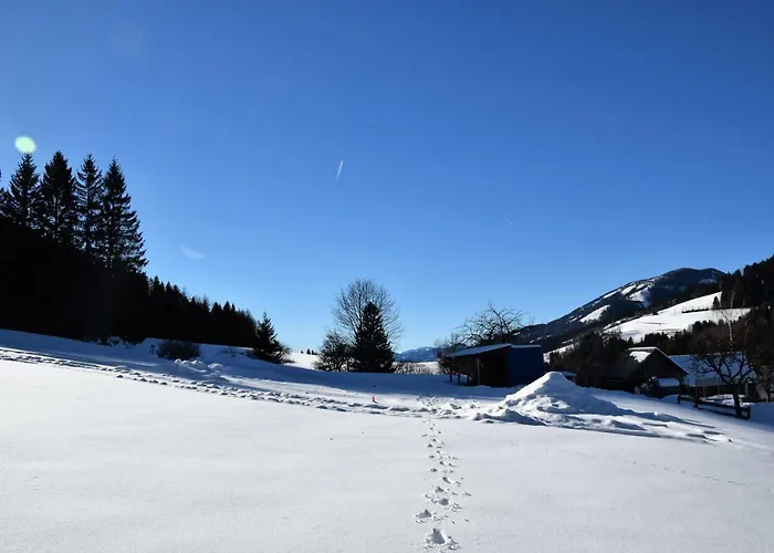 Dirnbacher Huette Guest house 3*