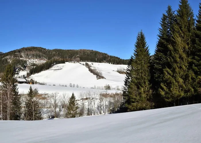 Dirnbacher Huette Guest house 3*